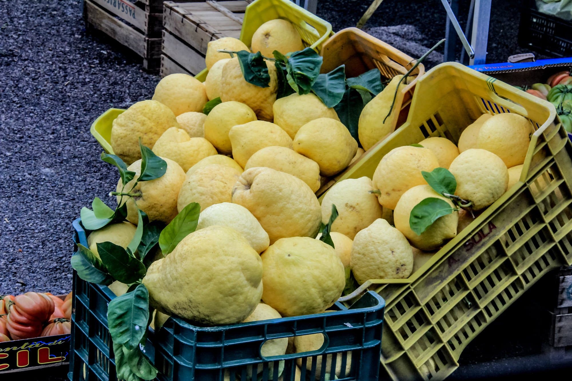 Sorrento Travel Guide