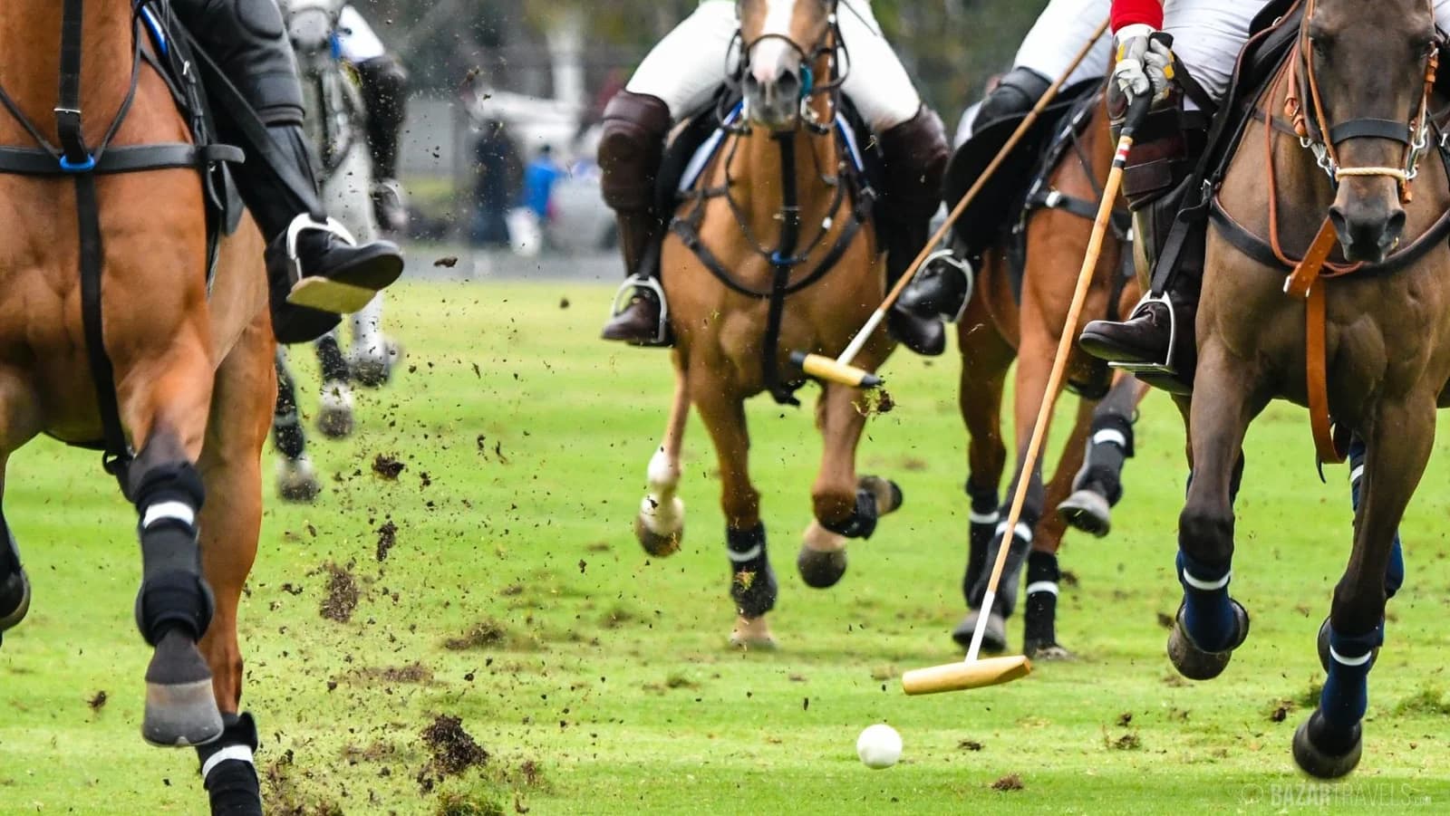 Why Visit the Argentine Atlantic Coast? A Perfect Combination of Beach Holidays and Polo Experiences in Argentina