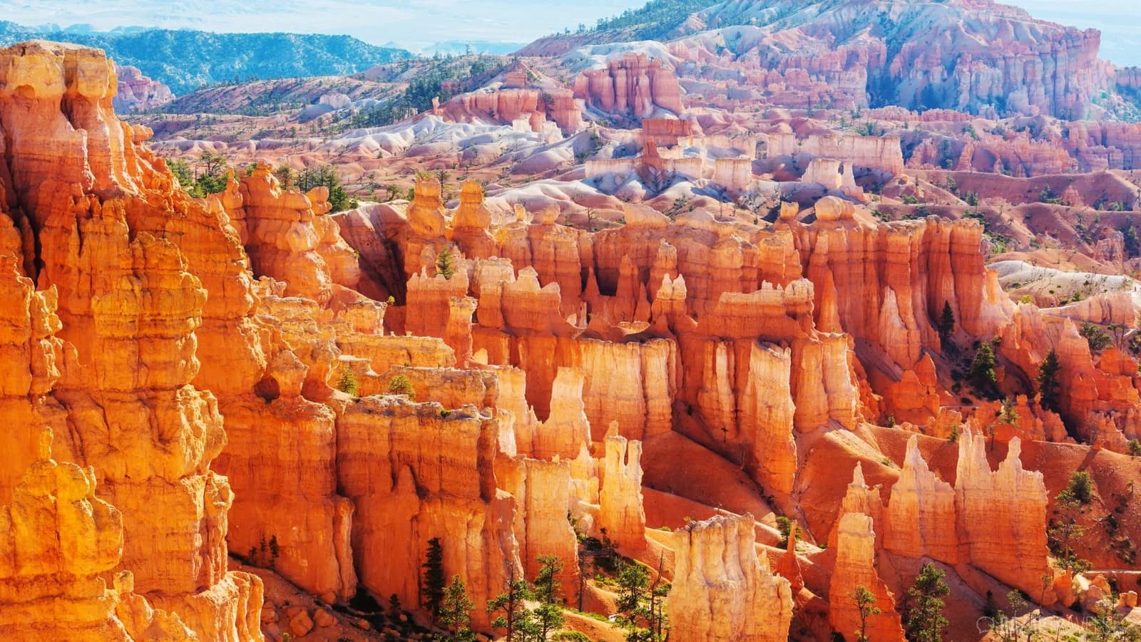 A 9-Day American Southwest Road Trip in a Luxury Sprinter Van