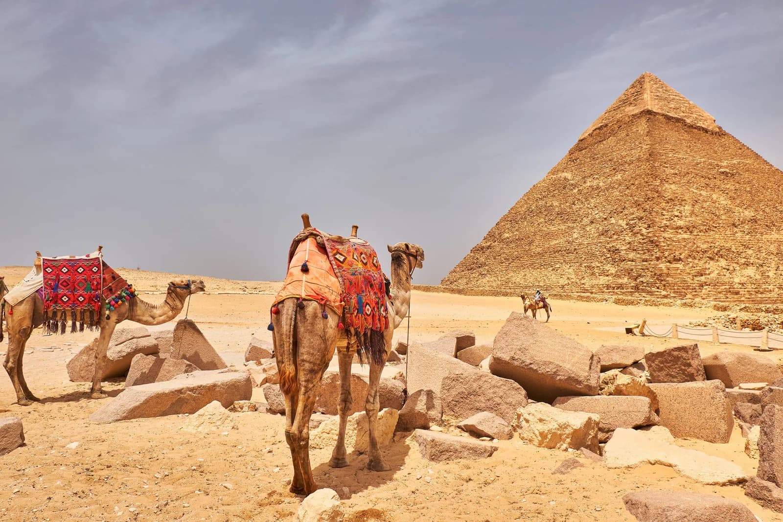 From Coral Reefs to Royal Tombs: A Day in Ancient Thebes