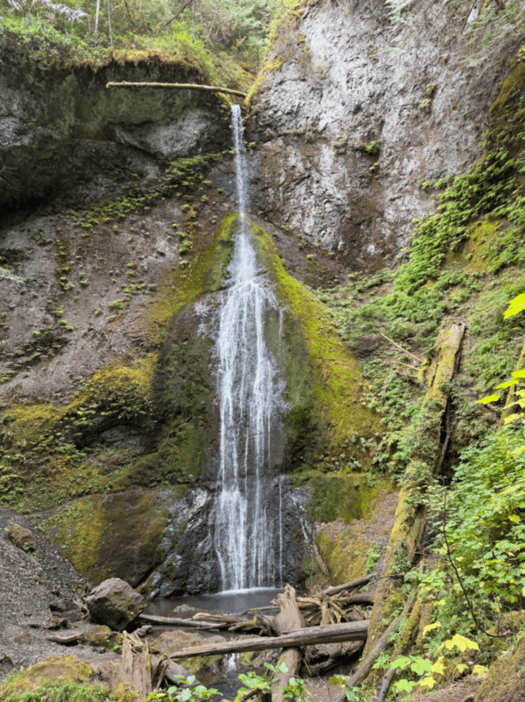 Olympic National Park