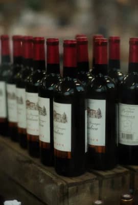 France Travel Guide