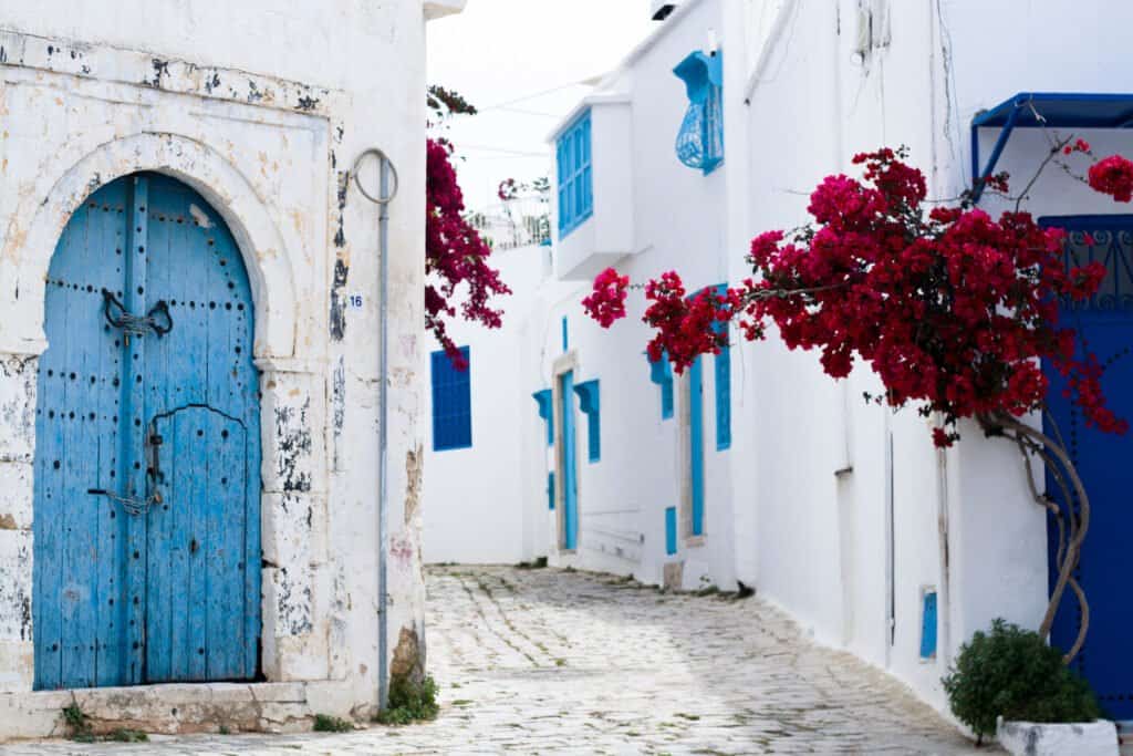 Sidi Bou Said Travel Guide